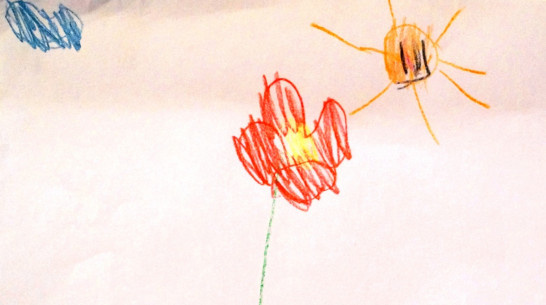 Семинар по проблемам аутизма соберет в Воронеже специалистов из 60 регионов 