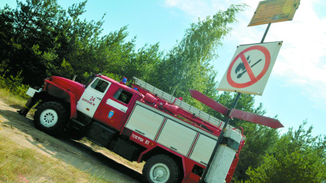 В Россошанском районе спасатели тушили природный пожар