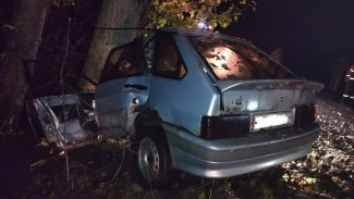 В Воронежской области легковушка врезалась в дерево: погиб водитель