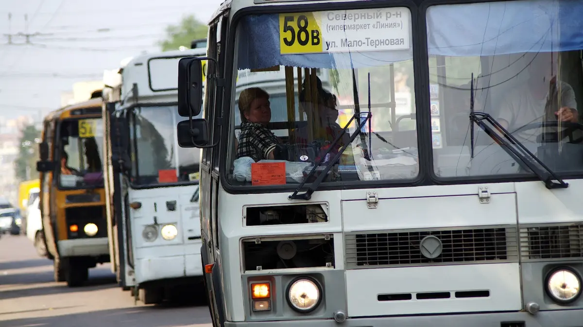 Проблемный пассажир. Кто следит за порядком в воронежских автобусах