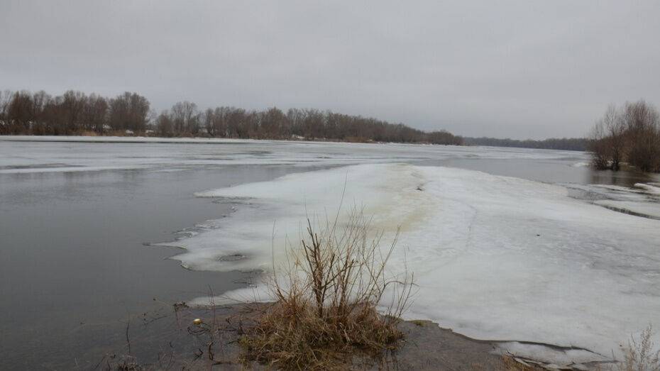 Тело 26-летнего мужчины нашли в реке под Воронежем