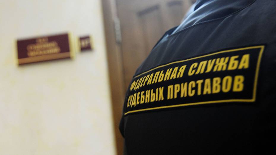 Жительницу Воронежской области отправили в колонию за долг в 400 тыс рублей по алиментам