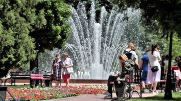 Синоптики спрогнозировали 33-градусную жару в Воронежской области