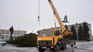 Жительница острогожского села Гнилое подарила землякам новогоднюю 15-метровую ель