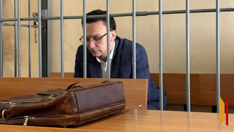 Бывший замминистра туризма Воронежской области Александр Кукин останется в СИЗО до 30 августа