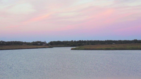 В Воронежской области утонула мать 4 детей