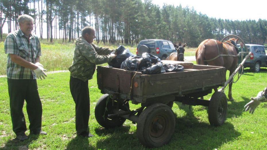 Лошадь Росинка помогла в уборке озерных берегов в верхнемамонском селе