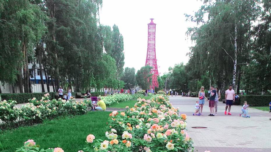 В Воронеже левобережный «маяк» осветили иллюминацией