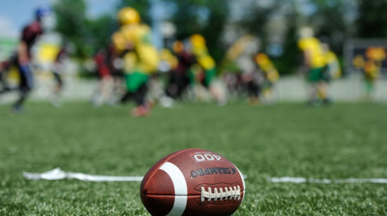 Воронежские «Могучие утки» проиграли в Орле