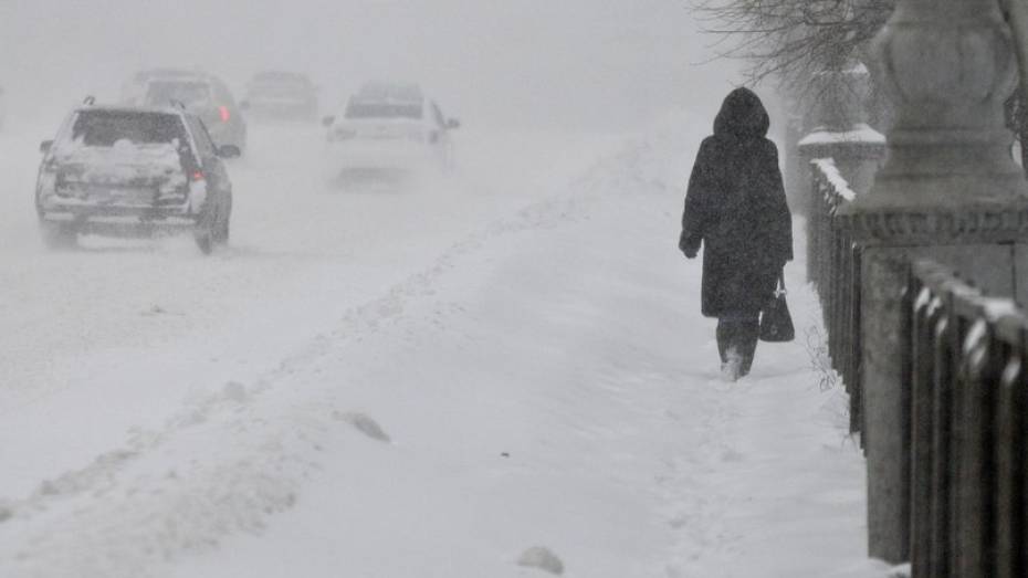 В Воронежской области минивэн Volkswagen улетел в кювет