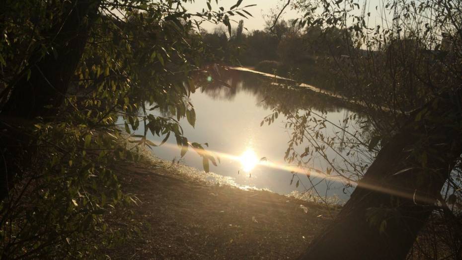 СК: в Воронежской области дед нырнул за внучкой в реку с обрыва