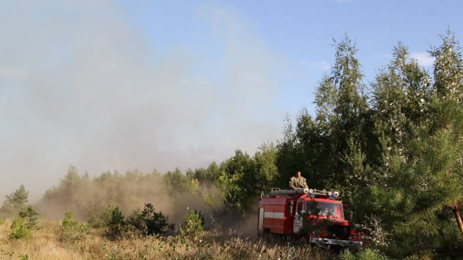 Воронежские лесники до конца января проверят исправность техники для тушения пожаров