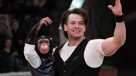 Воронежцы увидят шимпанзе, который умеет пользоваться столовыми приборами и горшком