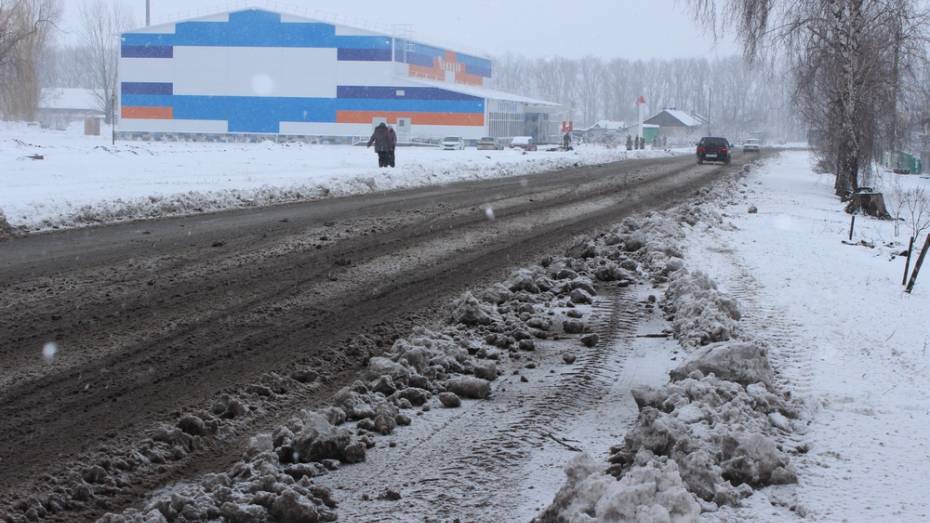 В Терновском районе за ночь выпало более 10 см снега