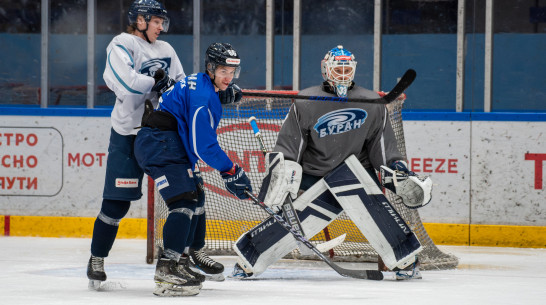 Стал известен план подготовки воронежского «Бурана» к следующему сезону в ВХЛ