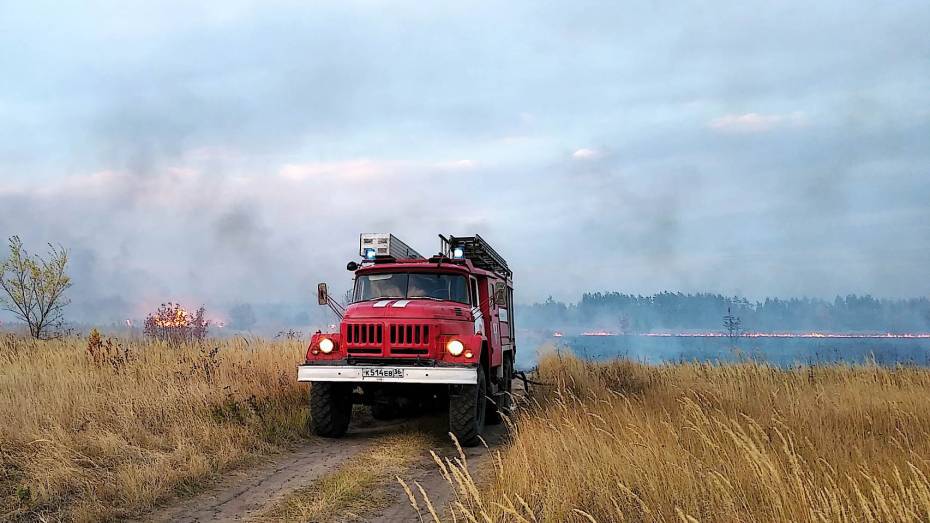 Первый пожар на территории лесного фонда зафиксировали в Воронежской области