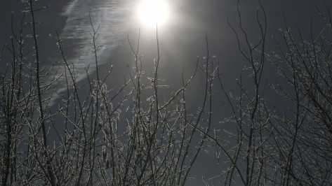 Воронежский гидрометцентр предупредил о 19-градусных морозах в конце недели