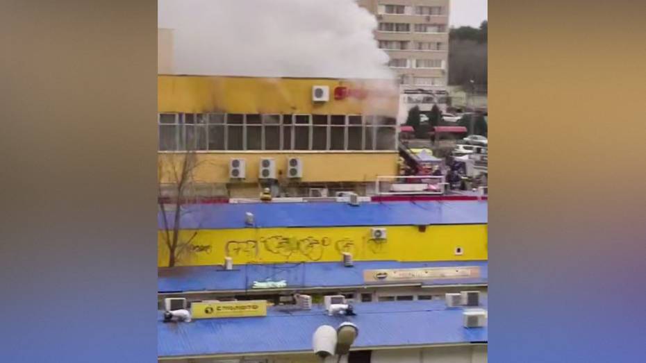 Пожар в торговом центре Нововоронежа начался из-за короткого замыкания