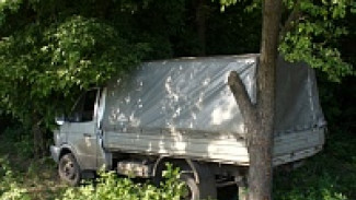 Под Воронежем в ДТП с «ГАЗелью» один человек погиб и двое ранены