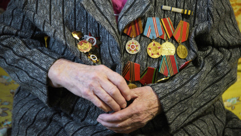 В Воронежской области осталось около 28 тыс ветеранов Великой Отечественной войны