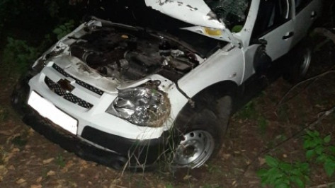 В Воронежской области пьяная автомобилистка отправила пассажира в больницу