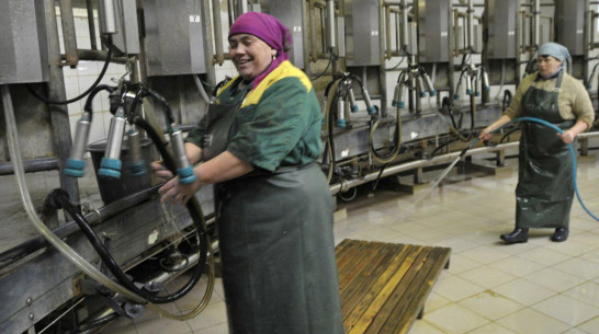 Воронежские власти предложат правительству РФ способы снизить наценку на молоко