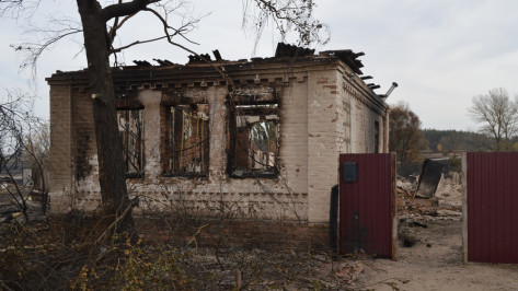 Губернатор поручил начать разбор сгоревших домов в павловской Николаевке