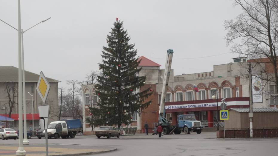 Жительница Боброва подарила городу 17-метровую новогоднюю елку