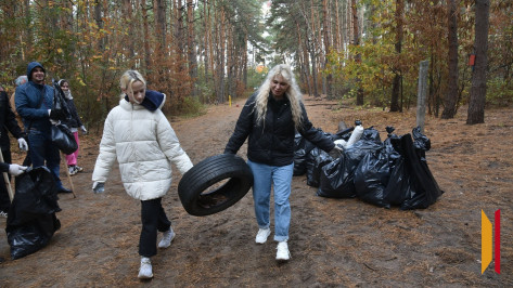 Осенний общеобластной субботник пройдет в Воронежской области 11 октября