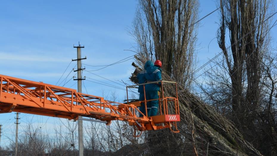 В Нижнедевицком районе сильный ветер повредил электрические провода в семи сельских поселениях
