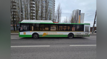 В Воронеже ГАЗ врезался в пассажирский автобус: пострадала 70-летняя пенсионерка
