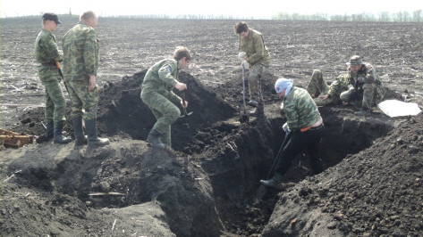 В Дубовке нашли две ямы с 208 останками жертв Большого террора