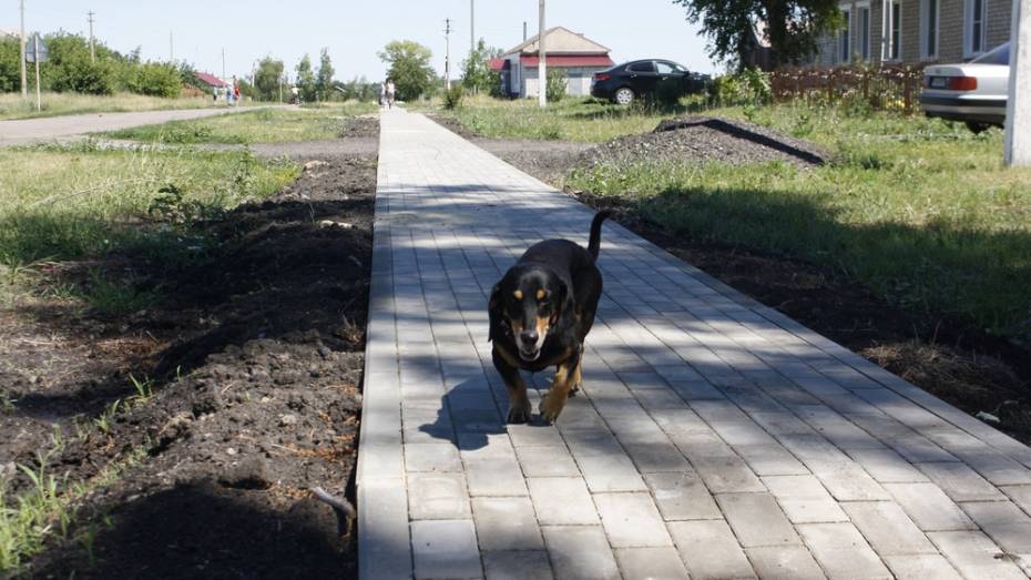 В Аннинском районе на строительство тротуара потратили 2,5 млн рублей