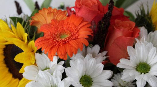 Воронежцы готовы потратить на подарки ко Дню учителя 2,8 тыс рублей