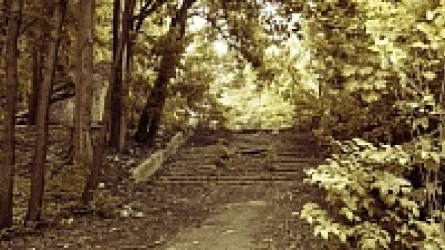 Воронежцы просят оставить старое название парку «Динамо»
