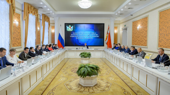 В Воронежской области 3 инвестпроекта получили статус особо значимых