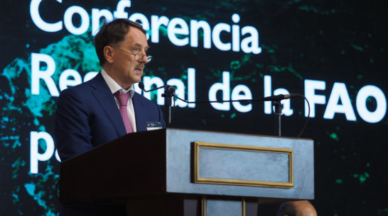 Алексея Гордеева избрали председателем сельхозконференции ФАО в Воронеже 