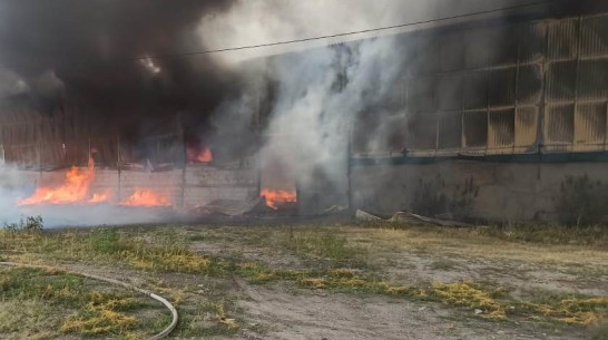 Крупный пожар произошел на маслозаводе в Воронежской области