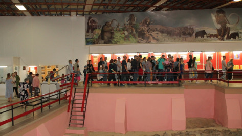 Хохольский музей-заповедник «Костенки» посетило рекордное число человек в 2019 году
