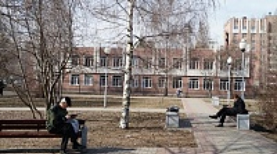 В Воронеж зима пришла без снега