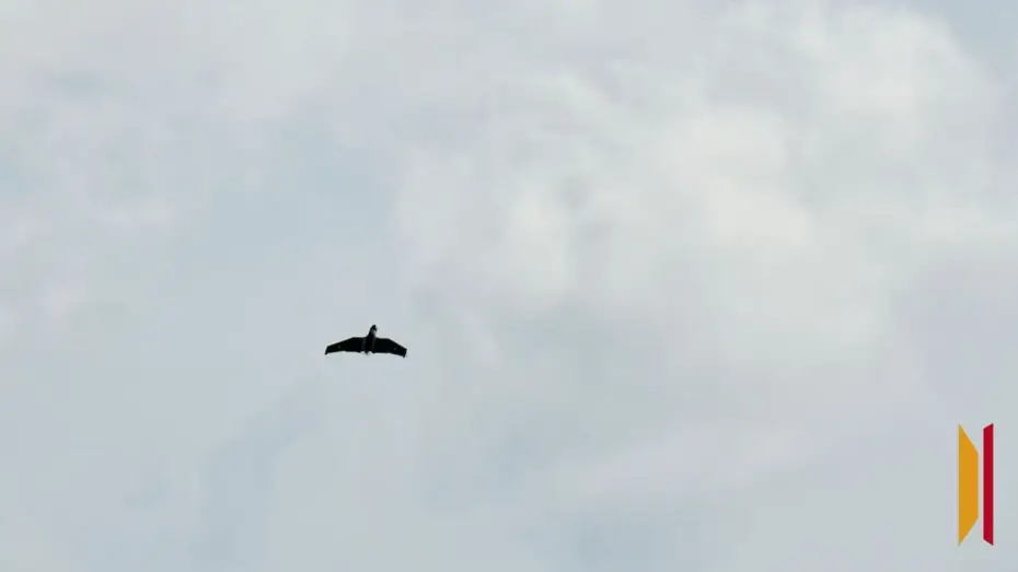 Обломки БПЛА повредили крышу частного дома и автомобиль в Воронежской области