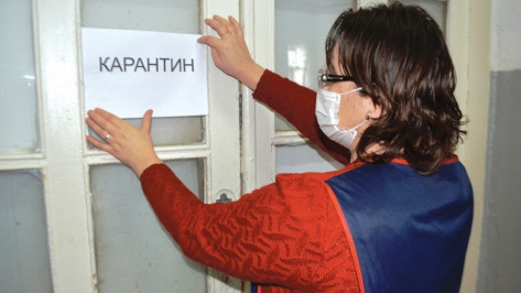 На карантин по гриппу и ОРВИ уйдет первая в Воронеже школа