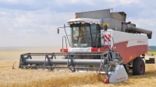 Японские инвесторы интересуются землями в Воронежской области