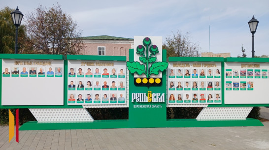 В Репьевке установили Доску почета