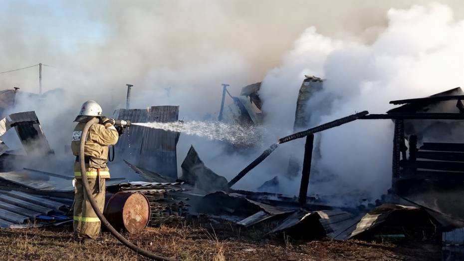 В селе Новая Усмань на ферме сгорело здание с животными