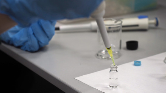 За июнь в Воронежской области выявили 39 случаев болезни Лайма