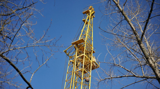 В Воронежской области заложили фундамент чешского завода сельхозтехники