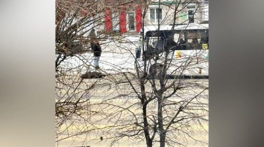 В Воронеже автобус №37 сбил женщину днем 12 января