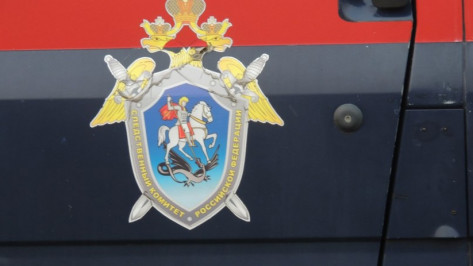 Скрывавшийся от полиции 9 лет воронежец ответит в суде за избиение до смерти