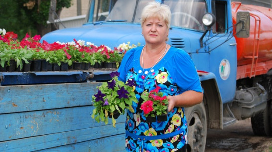 Россошанцы воруют цветы с городских клумб 